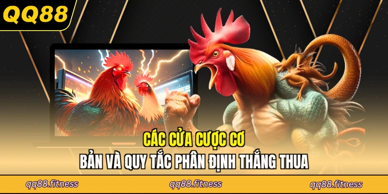 Các cửa cược cơ bản và quy tắc phân định thắng thua